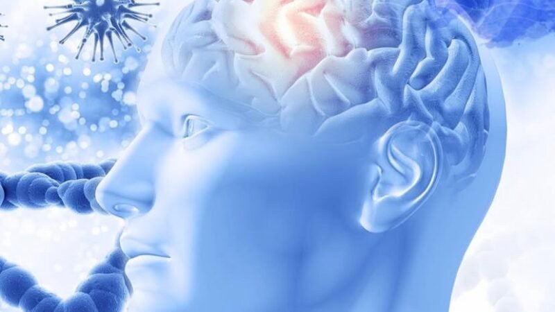 Exercise and Mental Health: Fitness Strategies to Prevent and Combat Alzheimer’s