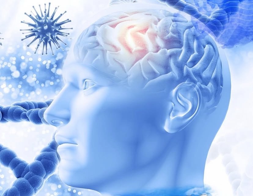 Exercise and Mental Health: Fitness Strategies to Prevent and Combat Alzheimer’s